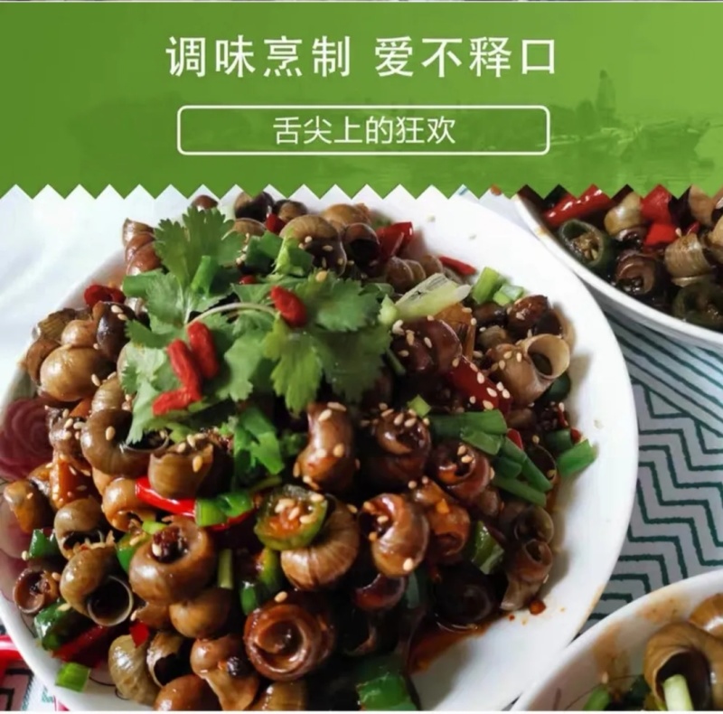 山泉水竹排清水螺