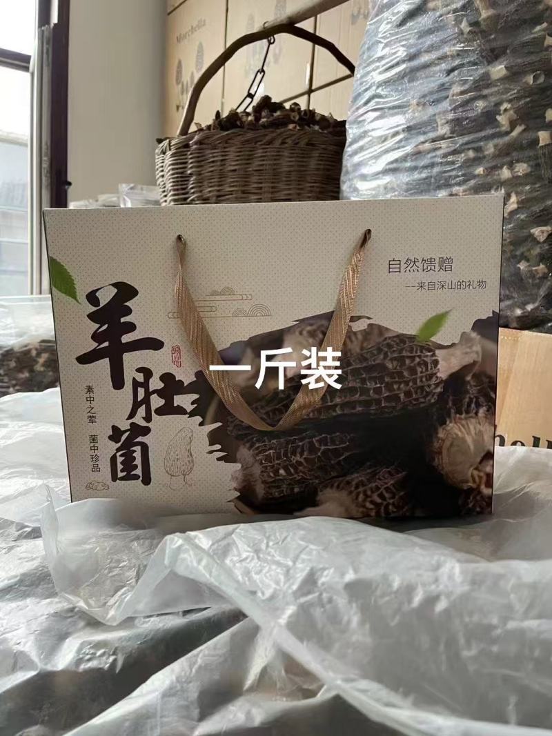 四川成都羊肚菌干货大量批发