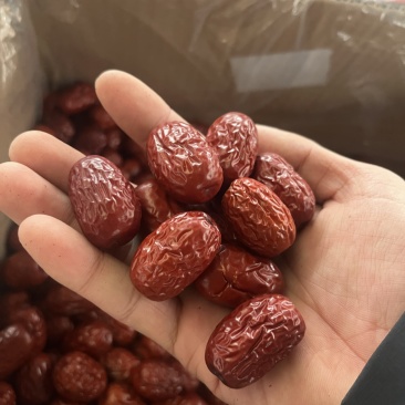 新疆灰枣一级，厂家直销！各种规格级别齐全