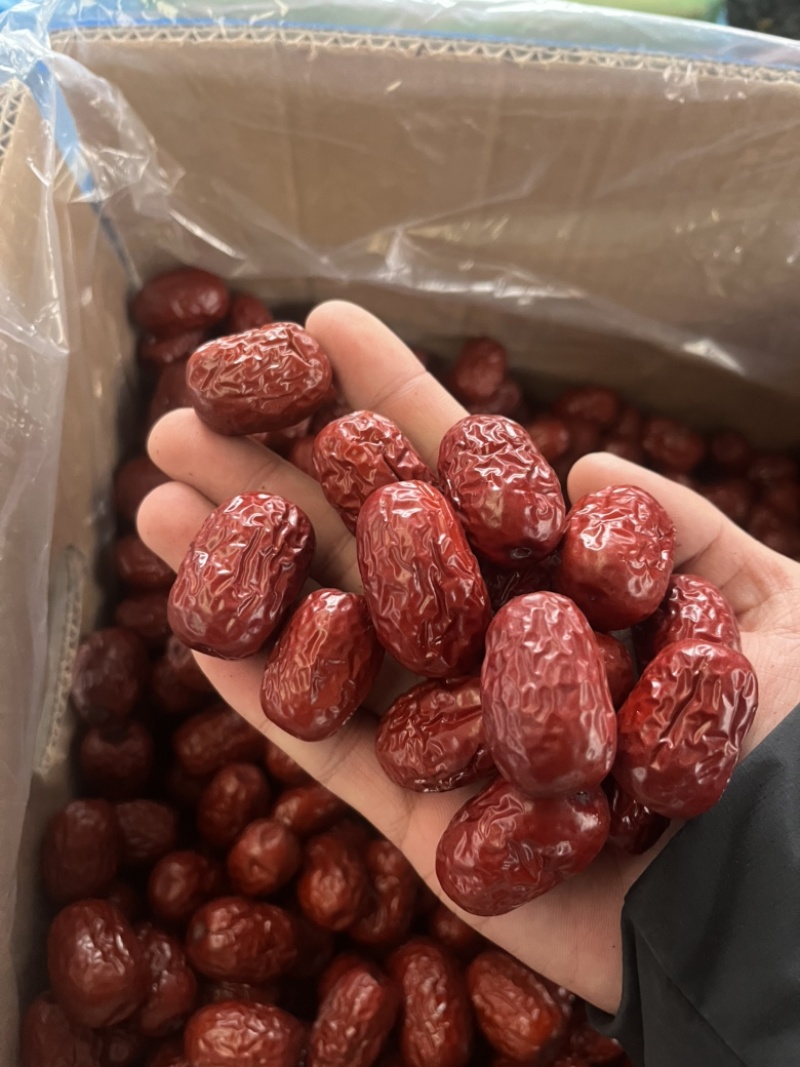 新疆灰枣特级，厂家直销！各种规格级别齐全