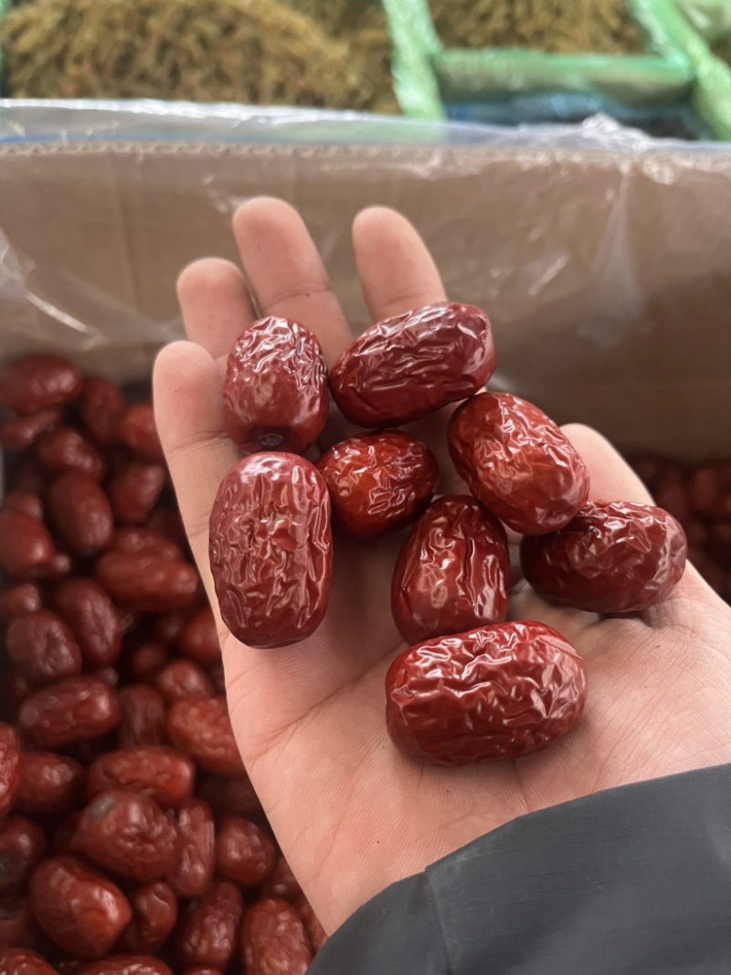 新疆灰枣特级，厂家直销！各种规格级别齐全