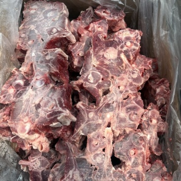 满肉羊蝎子，特价处理，量大优惠