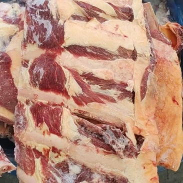1多肉牛寸排量大优惠
