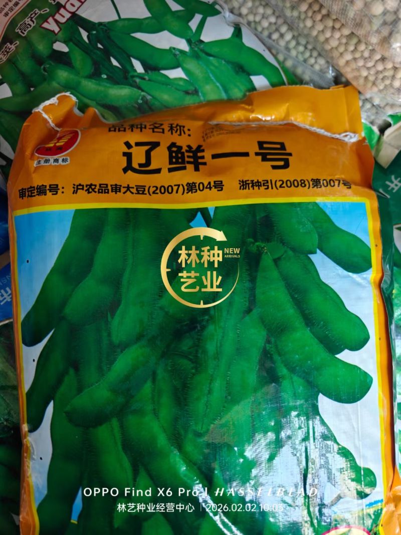 毛豆种子早熟春丰早毛豆杂交大田基地种植品种大粒青豆黄豆种
