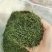 春节专享恩施玉露利川红