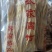 正宗河源腐竹和平客家无盐纯手工特级黄豆腐竹干货纯凉拌无