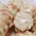 密花甜糯12号玉米种子彩甜糯玉米种籽鲜食玉米种子绿皮大棒