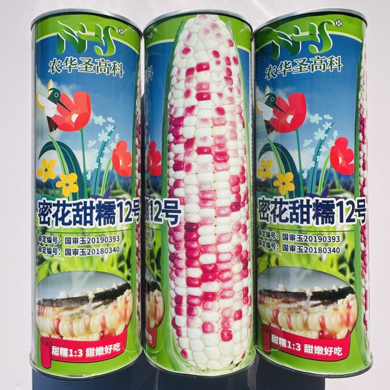 密花甜糯12号玉米种子彩甜糯玉米种籽鲜食玉米种子绿皮大棒