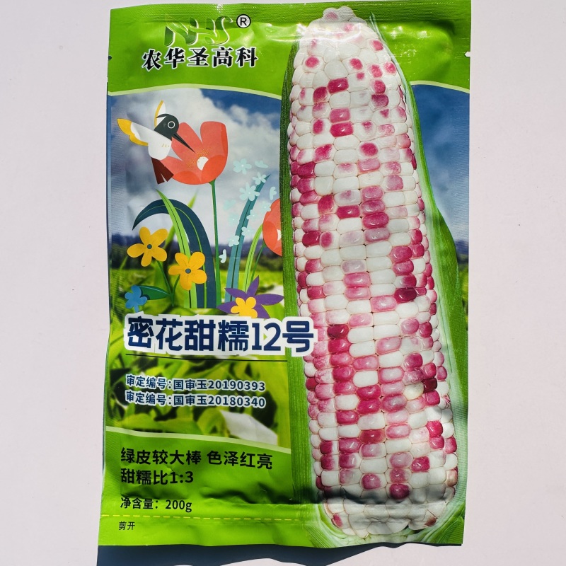 密花甜糯12号玉米种子彩甜糯玉米种籽鲜食玉米种子绿皮大棒
