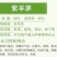 紫羊茅草种子进口草坪绿化草籽庭院护坡复绿耐寒草籽