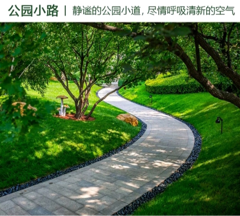 紫羊茅草种子进口草坪绿化草籽庭院护坡复绿耐寒草籽