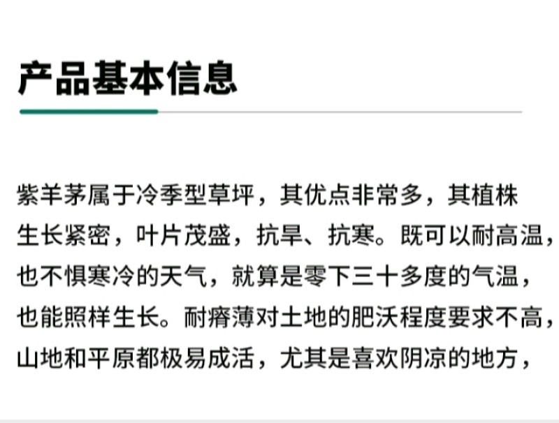 紫羊茅草种子进口草坪绿化草籽庭院护坡复绿耐寒草籽