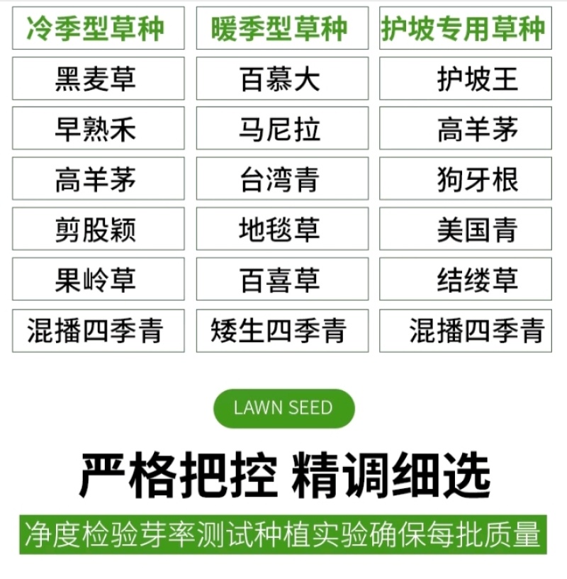紫羊茅草种子进口草坪绿化草籽庭院护坡复绿耐寒草籽