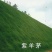 紫羊茅草种子进口草坪绿化草籽庭院护坡复绿耐寒草籽