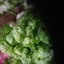 儿菜