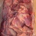 马氏羊板肉