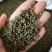 (热销)吴茱萸中花吴茱萸产地大货量多从优实物拍摄