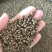 (热销)吴茱萸中花吴茱萸产地大货量多从优实物拍摄