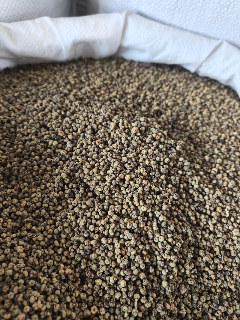 （热销）吴茱萸中花吴茱萸产地大货量多从优实物拍摄