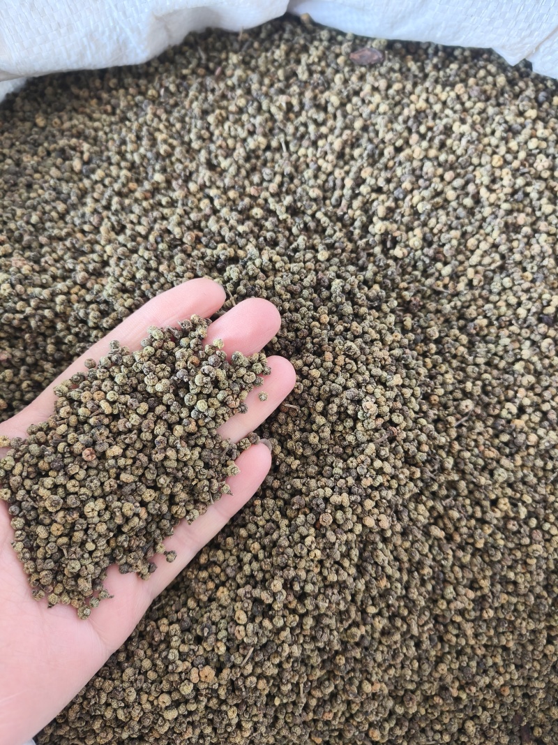 （热销）吴茱萸中花吴茱萸产地大货量多从优实物拍摄