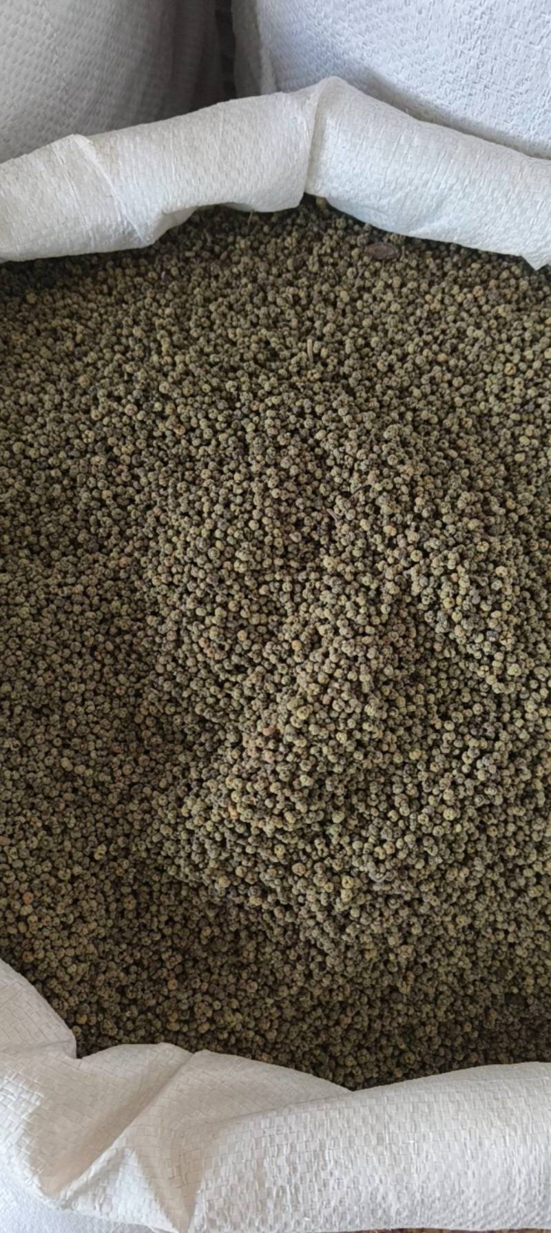 （热销）吴茱萸中花吴茱萸产地大货量多从优实物拍摄