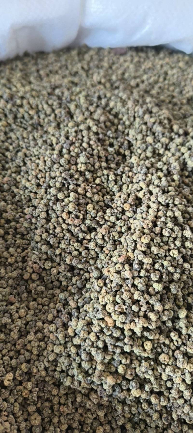 （热销）吴茱萸中花吴茱萸产地大货量多从优实物拍摄