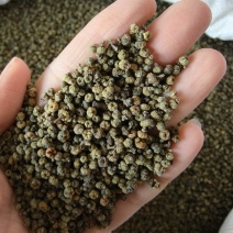 （热销）吴茱萸中花吴茱萸产地大货量多从优实物拍摄
