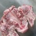 国产生去骨猪头肉鲜货加工一件4张10公斤一件