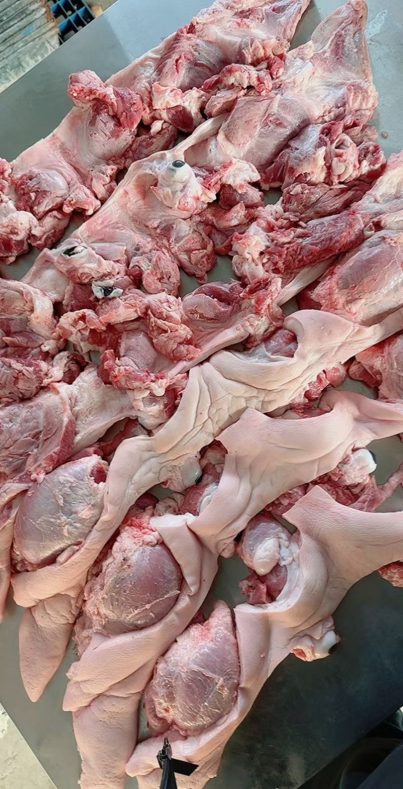 国产猪圈肉10公斤一件5-6个鲜货加工库存充足
