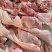 国产猪圈肉10公斤一件5-6个鲜货加工库存充足