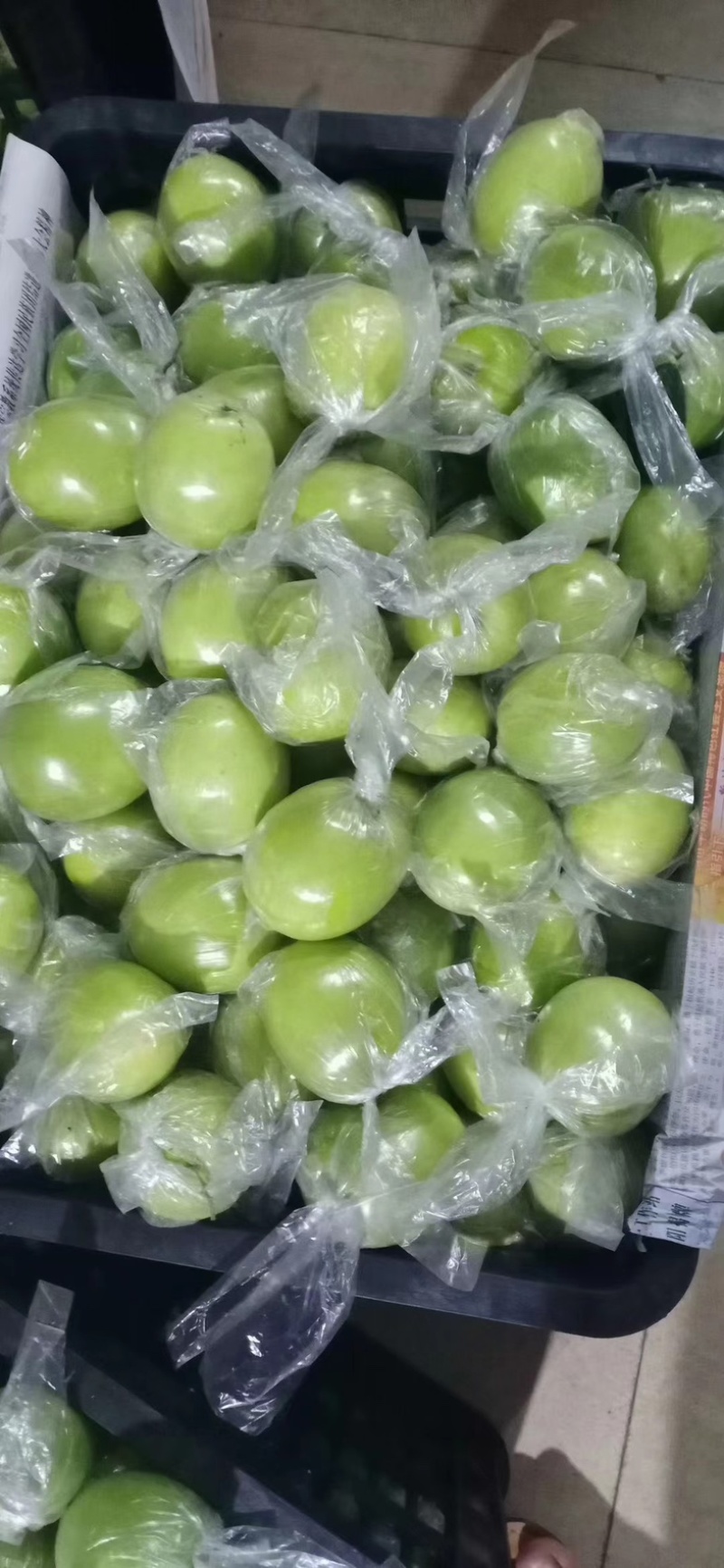 平南蜜丝枣，脆甜大，果面干净，1两3起。个头大