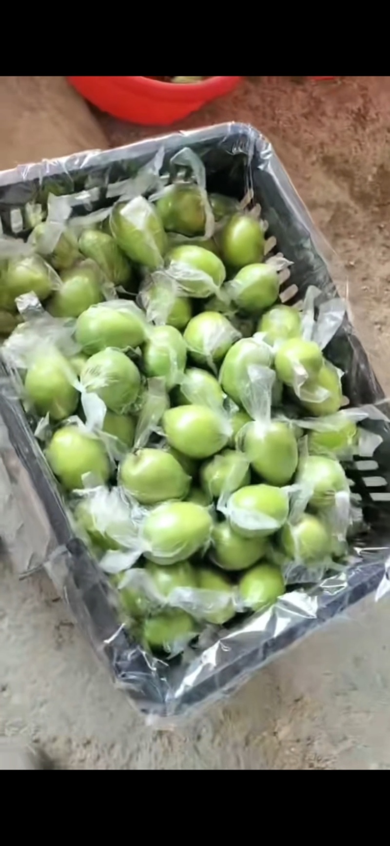 平南蜜丝枣，脆甜大，果面干净，1两3起。个头大