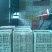 精品鹌鹑蛋货源充足量大从优质量保证欢迎咨询