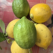 想卖香水柠檬