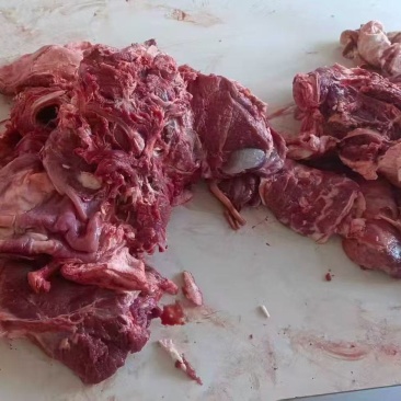 天成羊肉