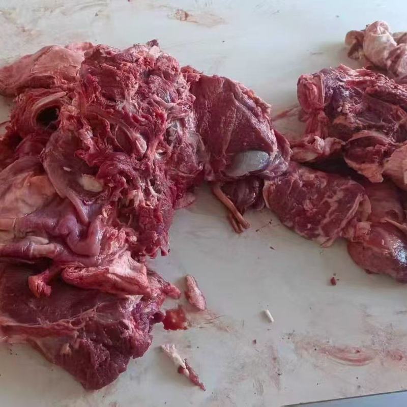 天成羊肉