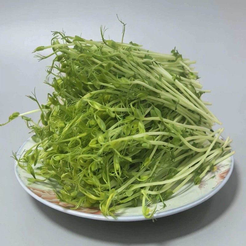 无根豌豆尖芽苗菜，基地直发，诚信经营，对接各大电商商超等