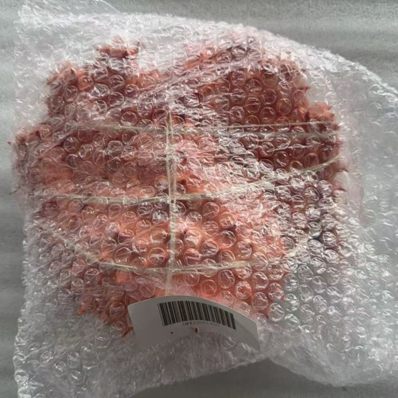 皇冠帝王蟹