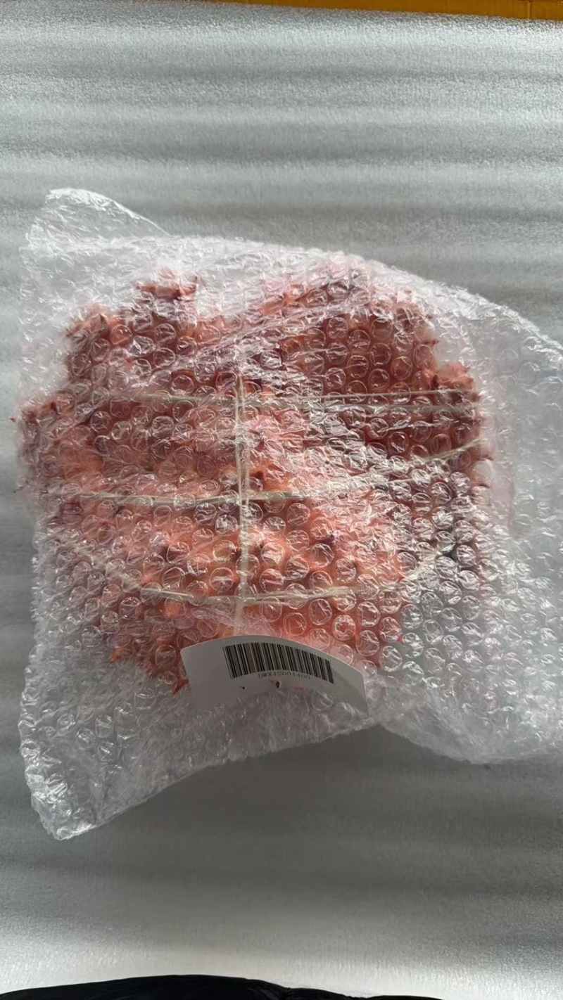 皇冠帝王蟹