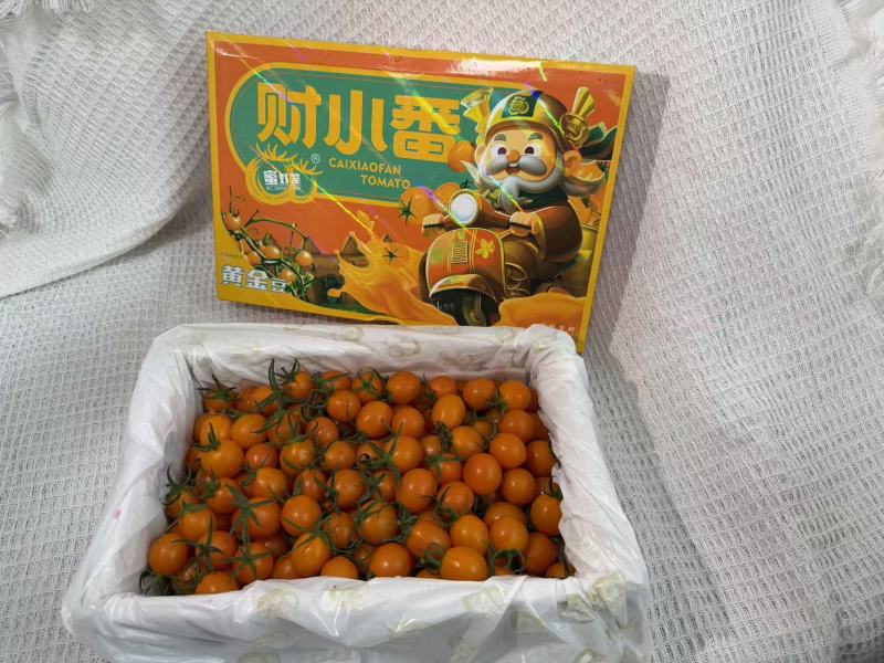 广东产地直发，香芒皇后，竹马青梅，糖心蜜丸，电白千禧