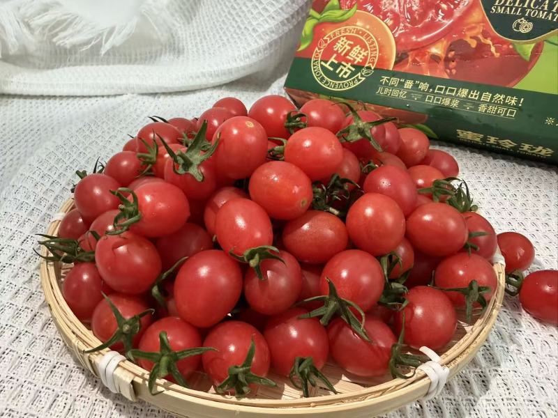 广东产地直发，香芒皇后，竹马青梅，糖心蜜丸，电白千禧