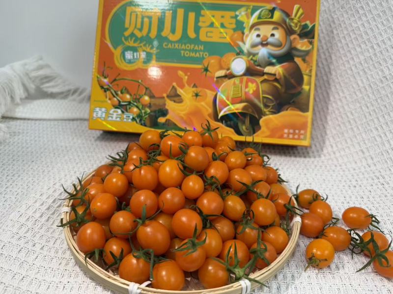 广东产地直发，香芒皇后，竹马青梅，糖心蜜丸，电白千禧