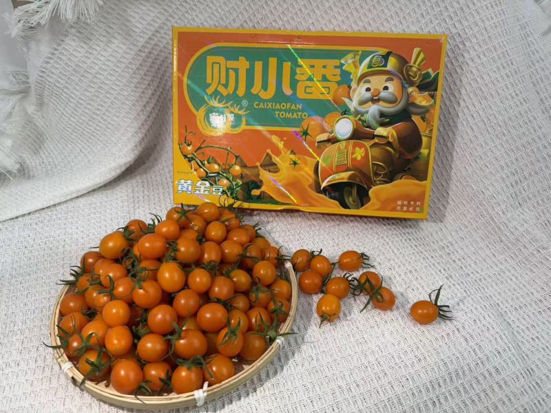 广东产地直发，香芒皇后，竹马青梅，糖心蜜丸，电白千禧