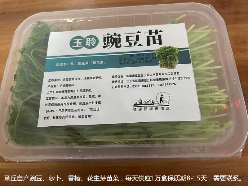 无根豌豆尖芽苗菜，基地直发，诚信经营，对接各大电商商超等