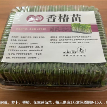 鲜活香椿芽苗菜一手货源，品质保证，可视频看，货量大从优