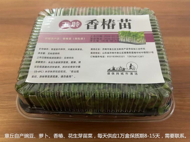 鲜活香椿芽苗菜一手货源，品质保证，可视频看，货量大从优