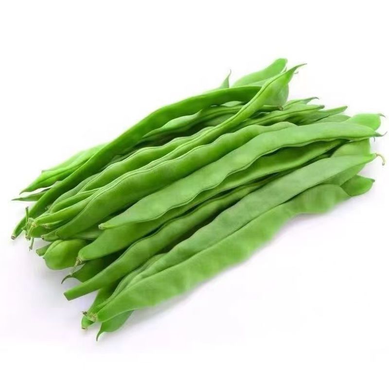 绿丰架豆王种籽早熟高产耐老化纤维少翠嫩扁豆角种子原装正品