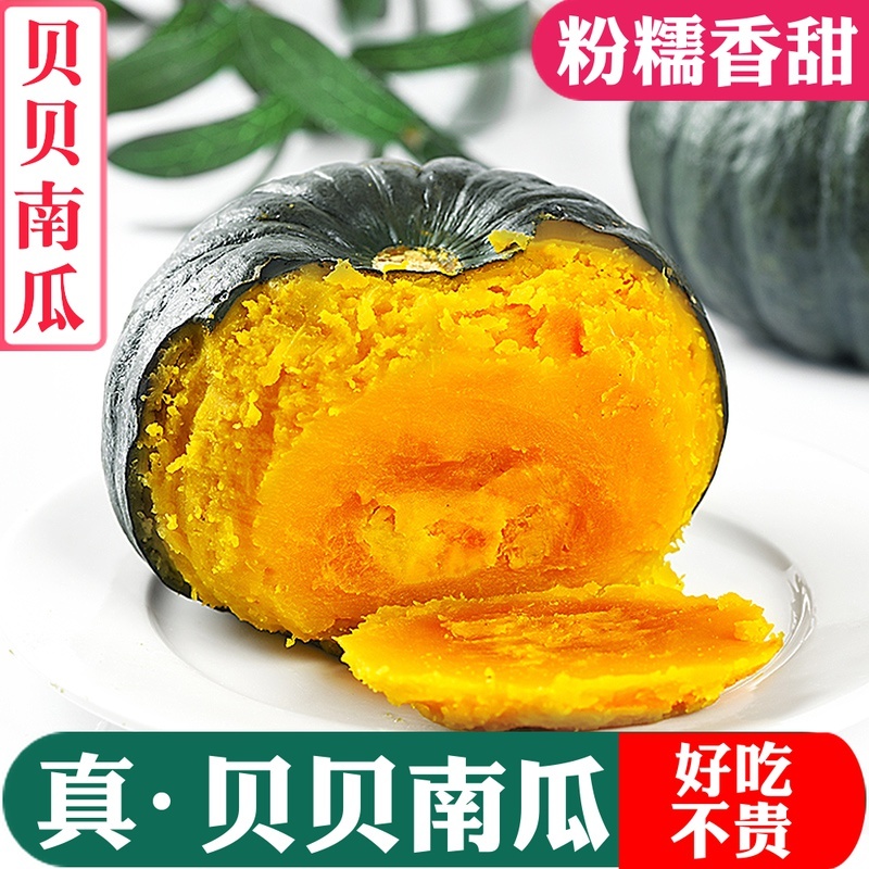 南小萌沃土三号贝贝南瓜规格齐全包装精美欢迎来电咨询