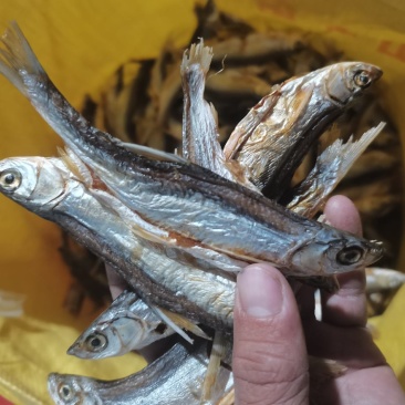 饲料/鱼饲料/边角料/鱼干/加工废品边角料鱼干处理/包邮