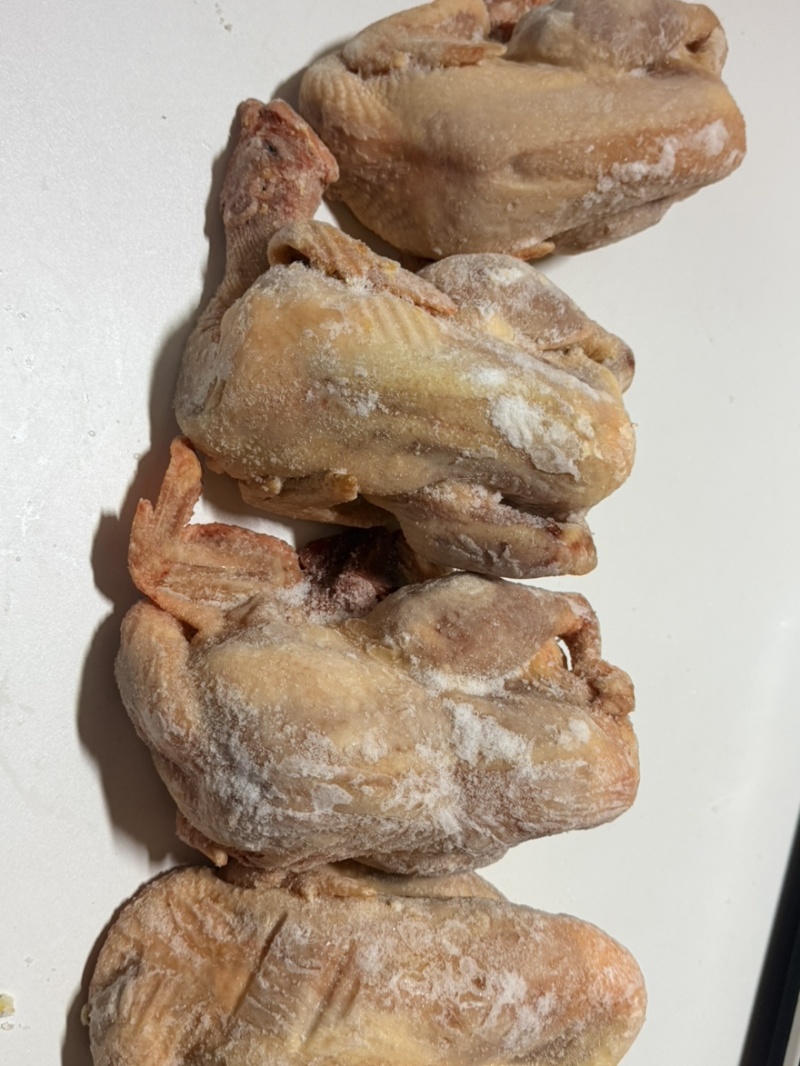 东北下栏两年母鸡